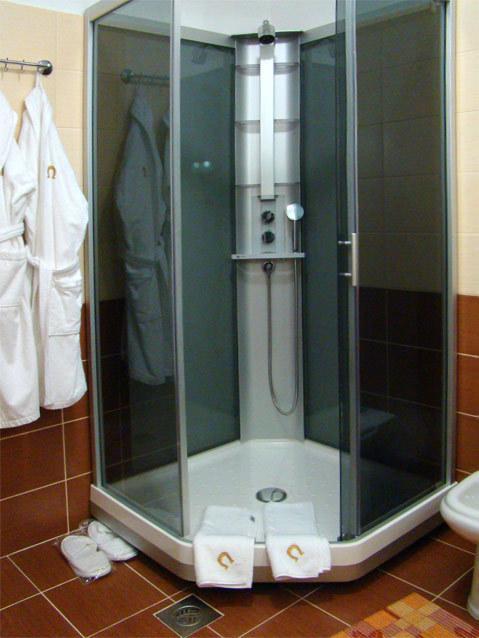 Hotel Zolota Pidkova Kozlin Стая снимка